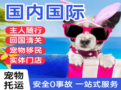 锡林浩特机场邮寄国际宠物托运 【国